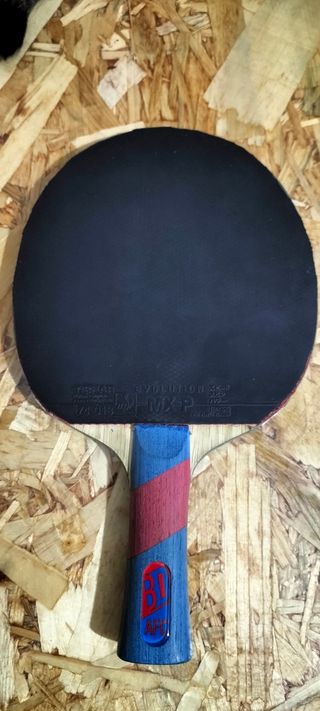 Raqueta Tenis de Mesa 
