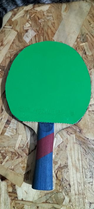 Raqueta Tenis de Mesa 