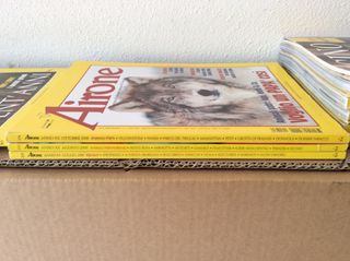 Riviste Focus,Newton,Airone,ARS e Art