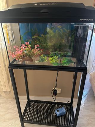 Acquario 60 lt con supporto in ferro e accessori