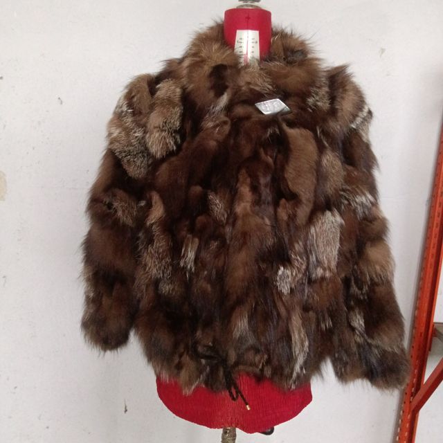 Giani Fernando Pelliccia Marrone