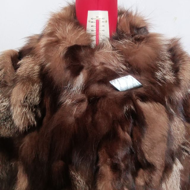 Giani Fernando Pelliccia Marrone