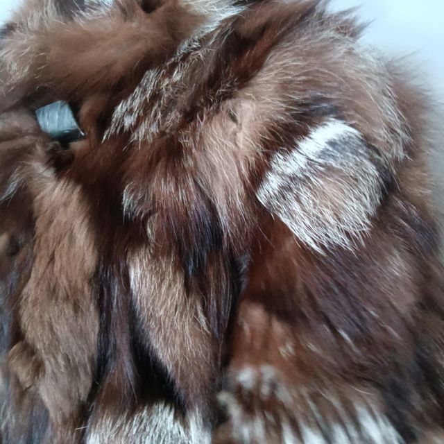 Giani Fernando Pelliccia Marrone