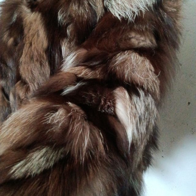 Giani Fernando Pelliccia Marrone