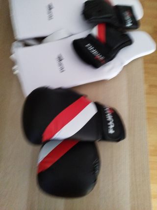 Kit Boxeo Fujimae Guantes y Petos