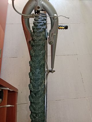 Bicicleta TOPBIKE 24 pulgadas