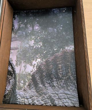 Parque Jurásico steelbook UHD 4K Caja de Madera