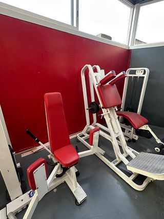 Lote de Maquinaria de Gimnasio Profesional