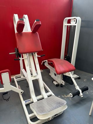 Lote de Maquinaria de Gimnasio Profesional