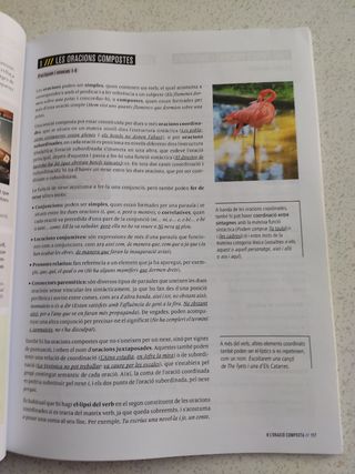 Llengua catalana i literatura 4t Secundària Lli...