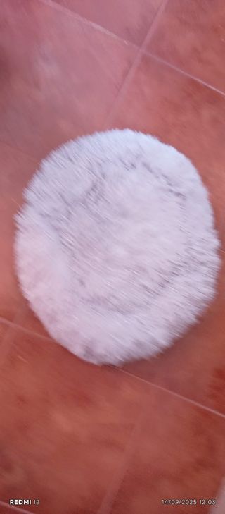 Cama para Gatos Nueva