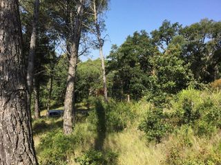 Solar en venta en Sant Joan-Vilarromà en Palamós