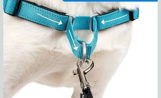 Arnés Antitirones con correa para perro