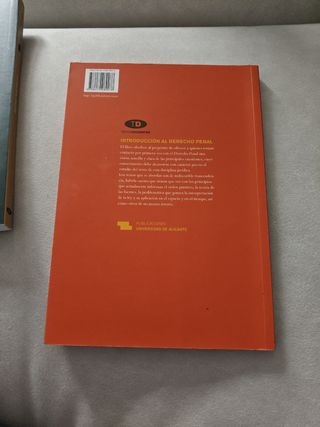 Teoría General del Delito (Spanish Edition