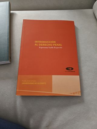 Teoría General del Delito (Spanish Edition