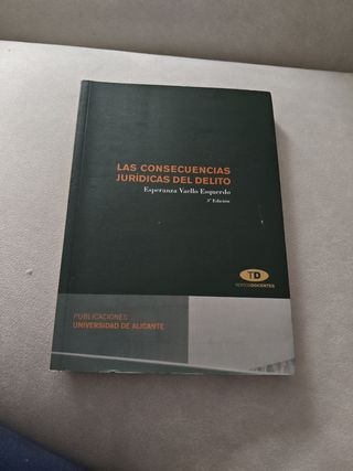 Teoría General del Delito (Spanish Edition