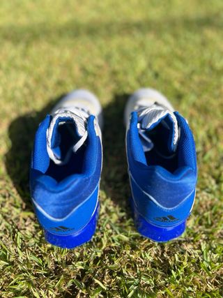 Zapatillas Adidas Leistung 16 II Boa Halterofilia