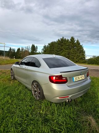 BMW Serie 2 2014