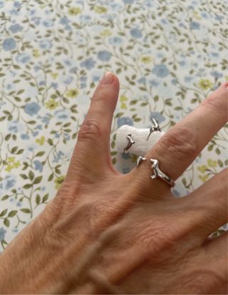 Anillo y pendientes Teckel Plata