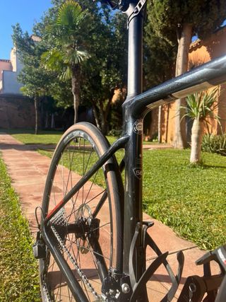 Bicicleta Carretera Specialized Roubaix