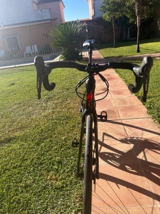 Bicicleta Carretera Specialized Roubaix