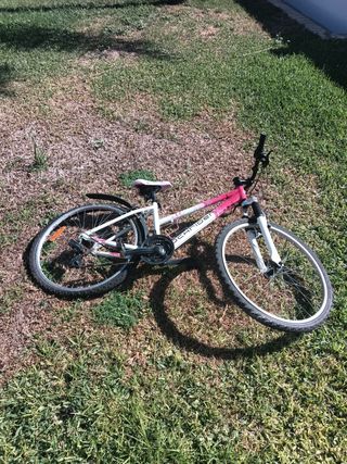 Bicicleta rosa y blanca.