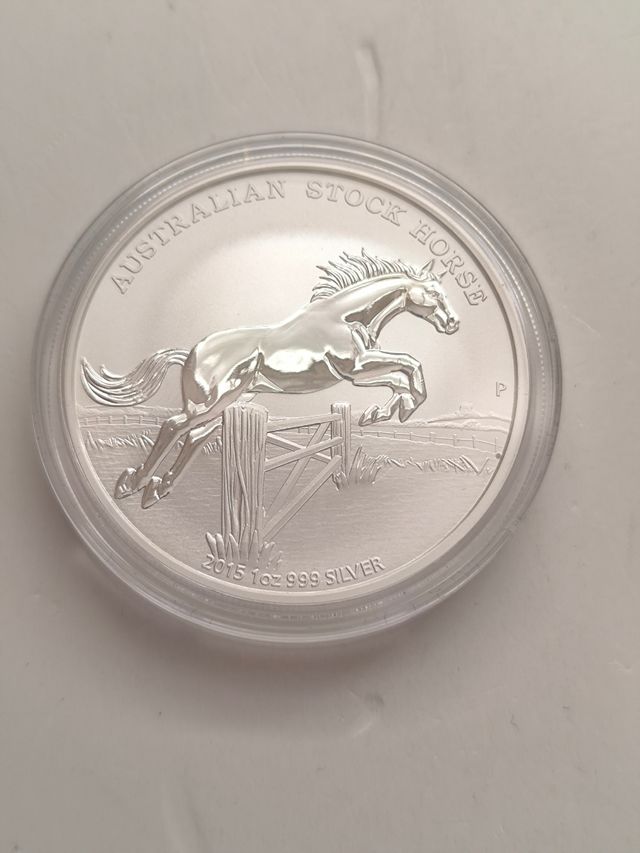 Onza de Plata Australiana stock horse 2015