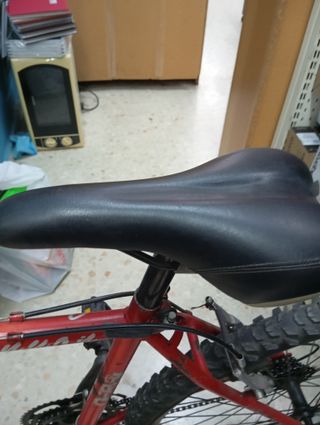 Bicicleta Rabasa Canyon Roja