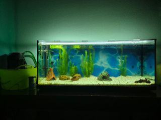 Acuario 120L + Accesorios+plantas+peces
