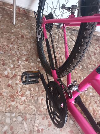 Bicicleta de Señora Metta Texas