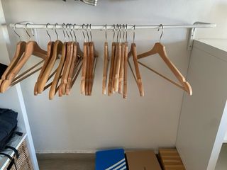 Burro de pared extensible de acero para ropa