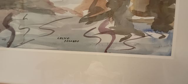 ACUARELA CALVO DELGADO