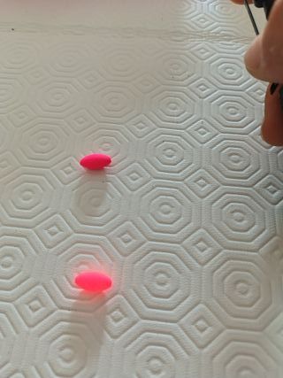 Galleggiante Surfcasting PAF