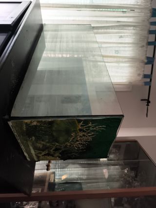 Acuario con fondo decorativo