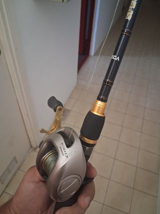 Caña Casting Vega Akada + Carrete Shimano Citica