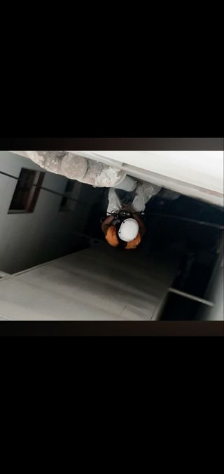 Pintor,Trabajos Verticales.