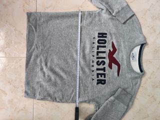 Jersey Hollister