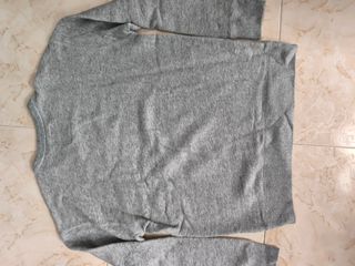 Jersey Hollister