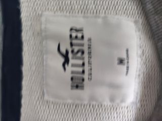 Jersey Hollister