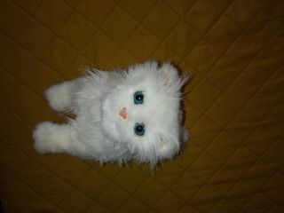 Peluche Gatito Persa a Pilas