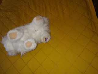 Peluche Gatito Persa a Pilas