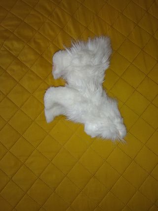 Peluche Gatito Persa a Pilas