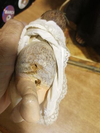 San Antonio de Padua talla arte sacro