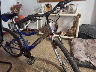 Bicicleta Longway Liberty 24