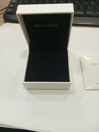 Caja Pandora + bolsa Pandora + gamuza de limpieza 