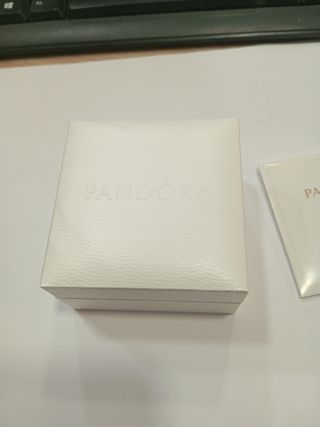Caja Pandora + bolsa Pandora + gamuza de limpieza 
