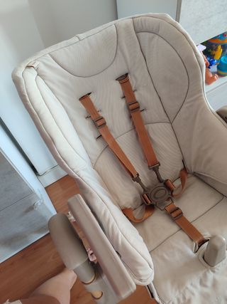 Trona evolutiva Jané