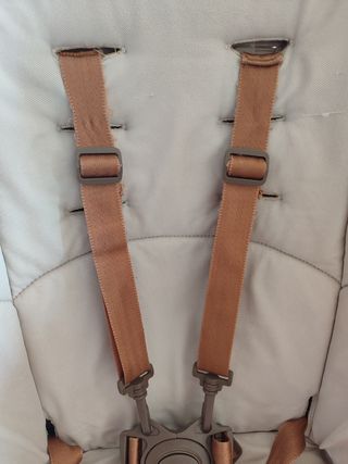 Trona evolutiva Jané