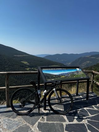 Wilier Rave SL Talla XS - Carretera/Gravel