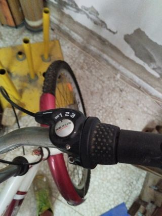 Bicicleta Raleigh Rosa y Blanca